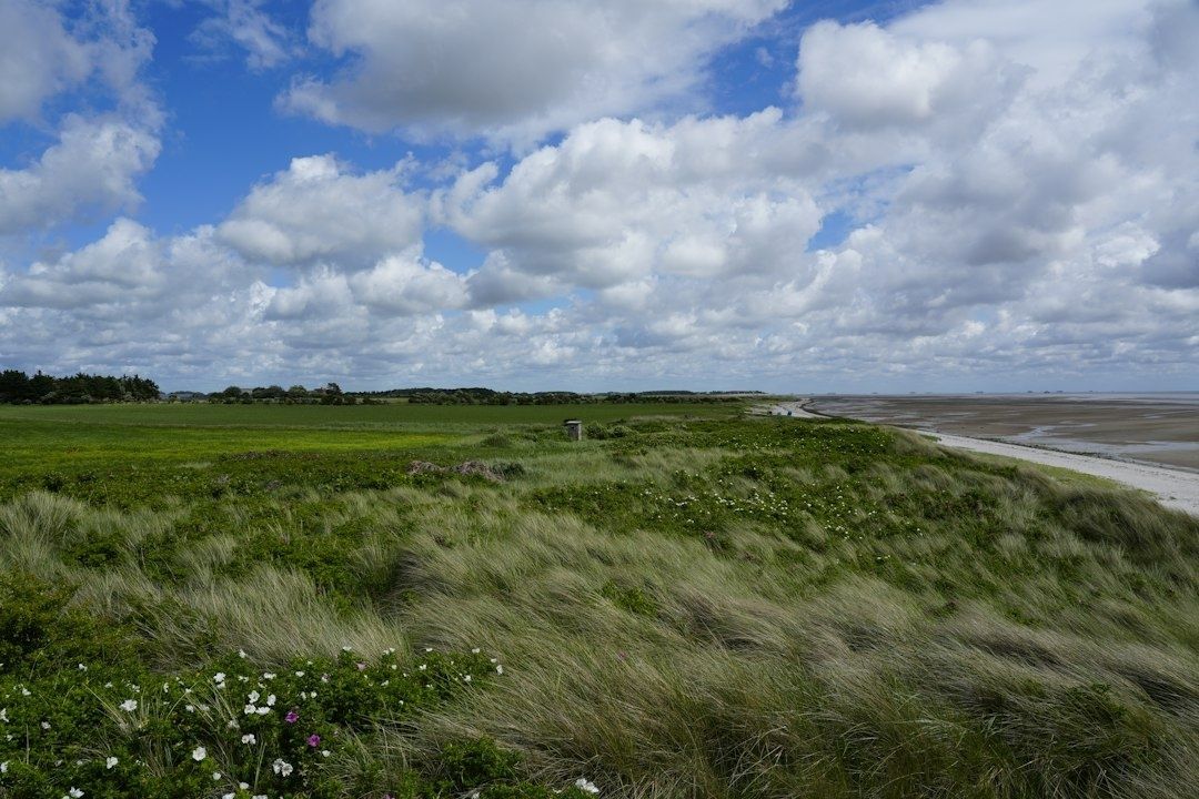 Grüne Dünenlandschaft am Wattenmeer bei Ebbe unter weitem Wolkenhimmel